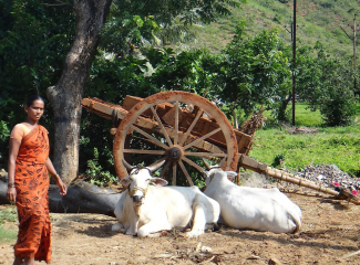 Woman in rural India