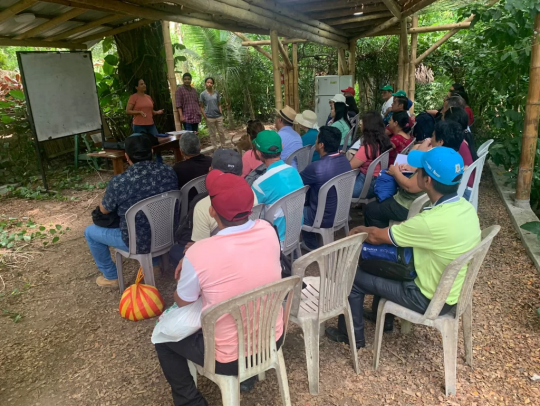 Exchange of experiences on a model farm.