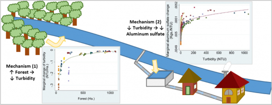 Graphical abstract