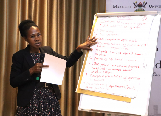 Catherine Kirabo from the Ministry of Water and Environment presenting the results from her group discussion