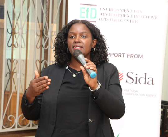  Florence Lwiza Nsereko presenting research findings on Climate Smart Agriculture.