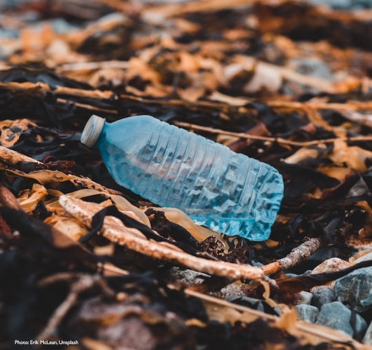 Empty plastic bottle