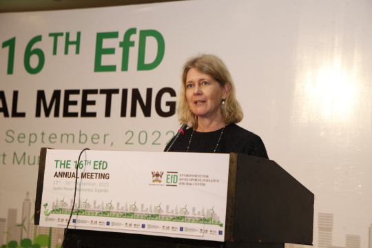 Her Excellency the Ambassodor addressing the participants