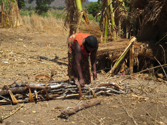 Woman collecting firewood
