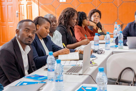Different stakeholders participating in the new IGE theme consultation