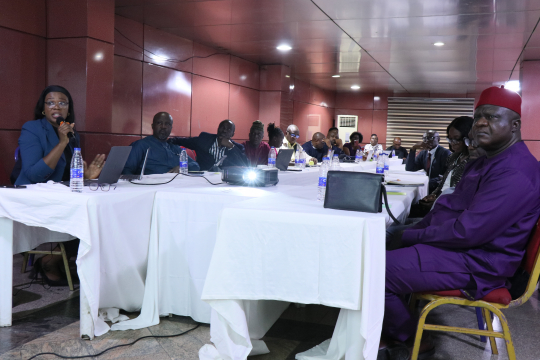 Research dissemination on potential and challenges of voluntary carbon market in Nigeria