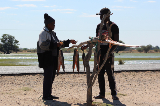 Fishermen in Namibia