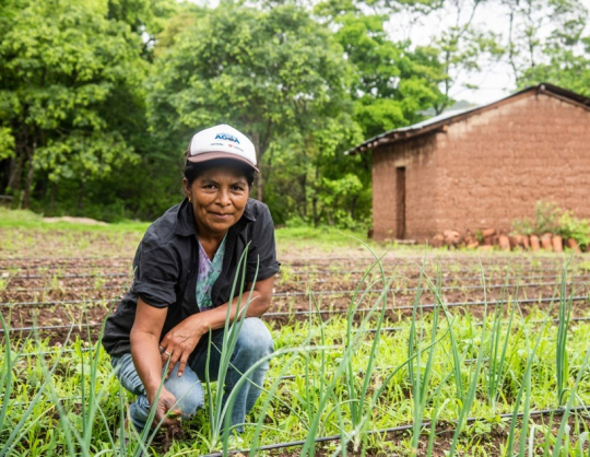 In total, 2500 families of rural communities of Nicaragua are beneficiaries. Credit: Cosecha del Agua project 