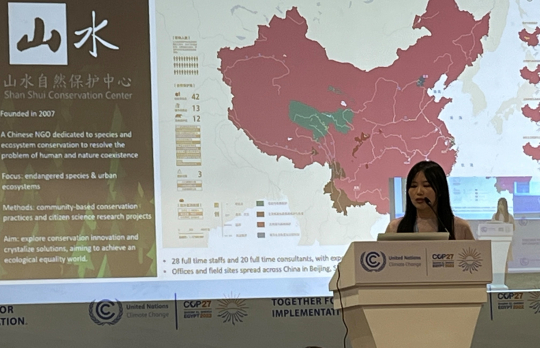 Shi Xiangying shares her NGO experiences in plateau biodiversity at The China Pavilion of COP27. Photo: Xu Jintao 