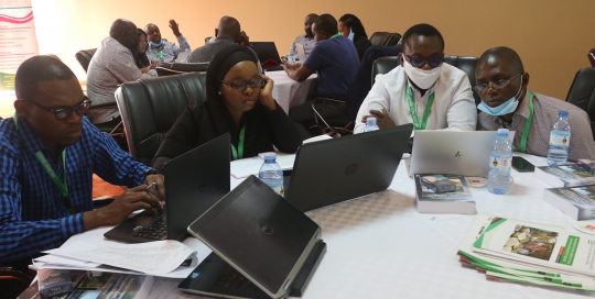 Some of the IGE fellows discussing in their groups before the closing ceremony