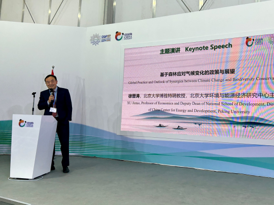 Xu Jintao giving a keynote speech at The China Pavilion of COP27. Photo: Shi Xiangying