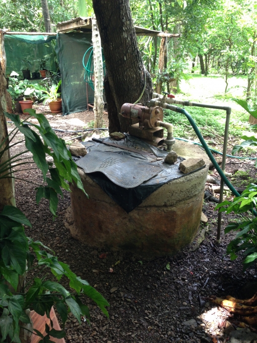 Public perceptions of the performance of communitybased drinking water