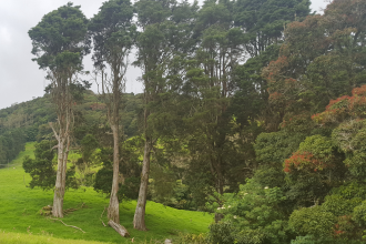 In Costa Rica, the Payment for Ecosystem Services has help to reduced the deforastation rate and land degradation. 