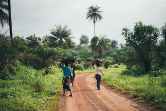 Women collecting fuelwood