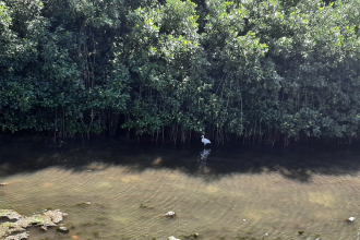 Ecoparque Mallorquín