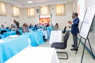 Training for Policymakers in REPOA