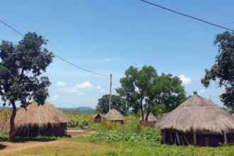 DEval Evaluation Report