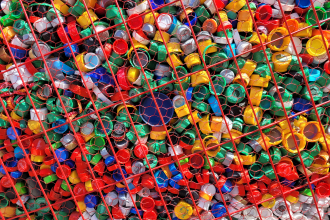 Photo: Killari Hotaru, Unsplash