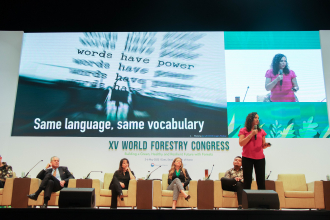 Marianela Argüello speaking during the session Harnessing the Communication Effect