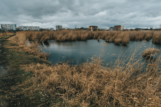 Photo by Stanislav Kondratiev, Pexels