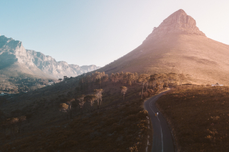 Lion's Head, Photo by Taryn Elliott, Pexels