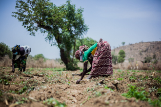 Women in a rural agricultural landscape. Photo: Pexels
