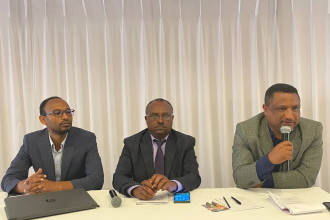 Abebe Beyene presents at the validation workshop.