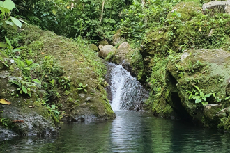 The protection of forests allows the protection of other ecosystem services. Caption: Bárbara Viguera