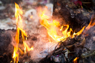 Pictures: be Waste Wise - Shutterstock