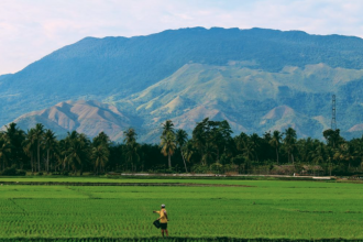 Aceh, Indonesia. Photo by Sandy Zebua on Unsplash.